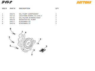 Daytona Oljepump delar DT150, T-Rex