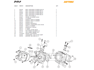 Cylinder/topp delar Daytona ANIMA®150/190 (4 VALVES)