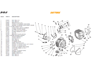 Daytona Cylinder/topp delar Daytona DT150, T-Rex